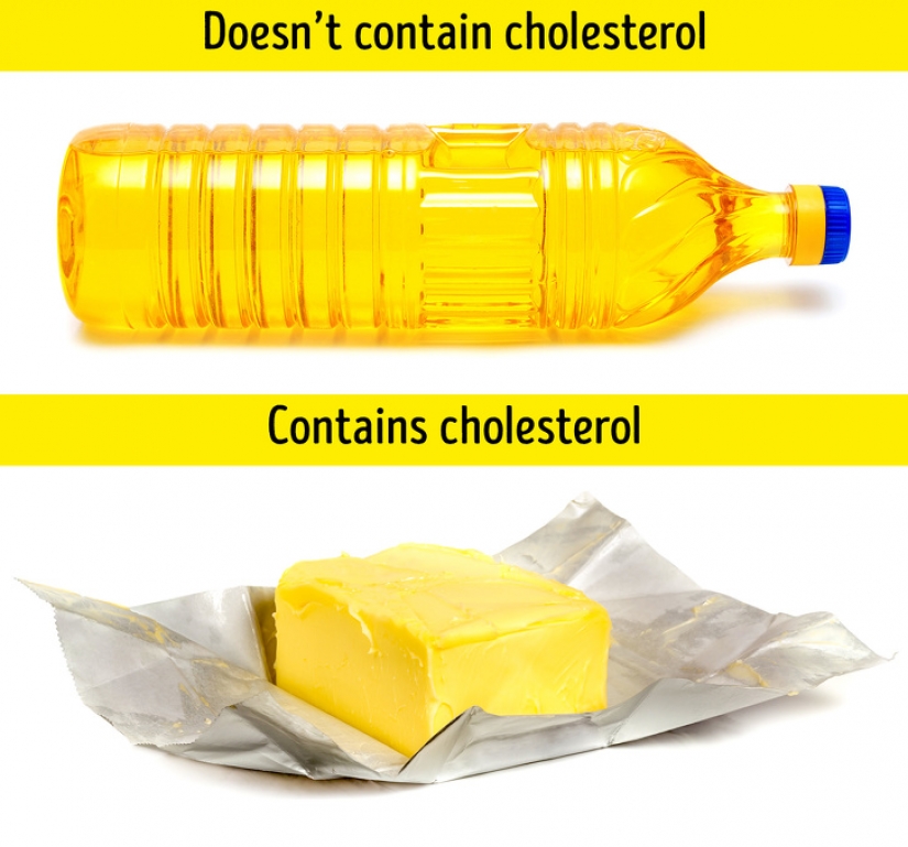 10 facts about the most unexpected aspects of the world 10 facts about the most unexpected aspects of the world