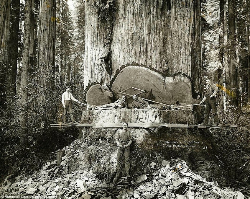 10 fotografías históricas que probablemente verá por primera vez