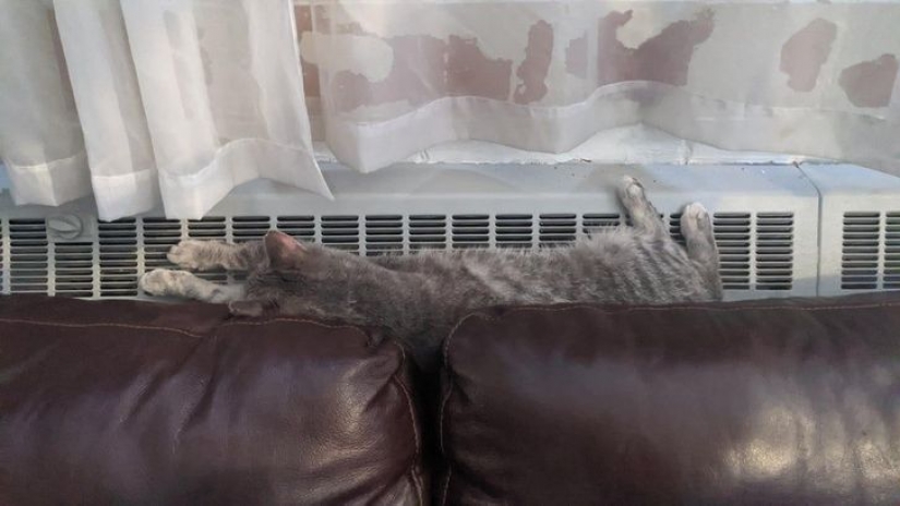 10 fotos que demuestran que un vestido puede embellecer a una mujer famosa o arruinar su imagen