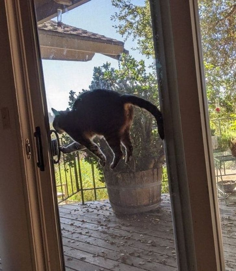 10 fotos que demuestran que un vestido puede embellecer a una mujer famosa o arruinar su imagen