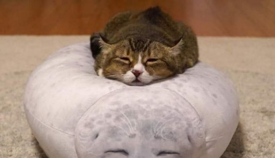 10 fotos que demuestran que un vestido puede embellecer a una mujer famosa o arruinar su imagen