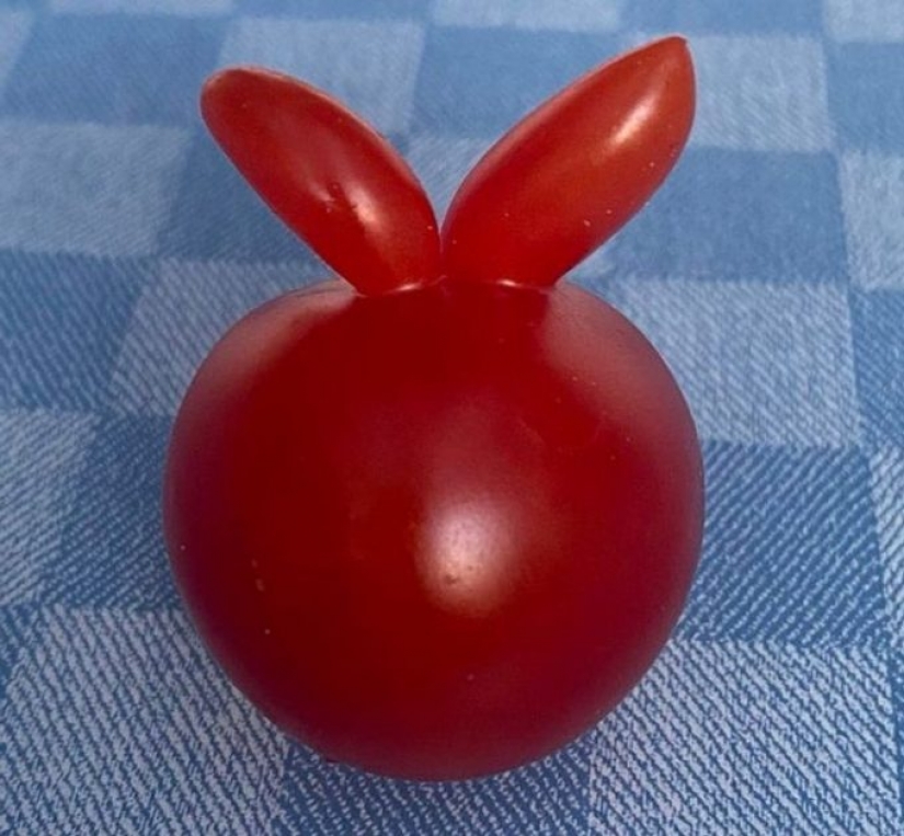 10 fotos que muestran lo que es más asombroso en la naturaleza de lo que podemos imaginar 10 fotos que muestran lo que es más asombroso en la naturaleza de lo que podemos imaginar