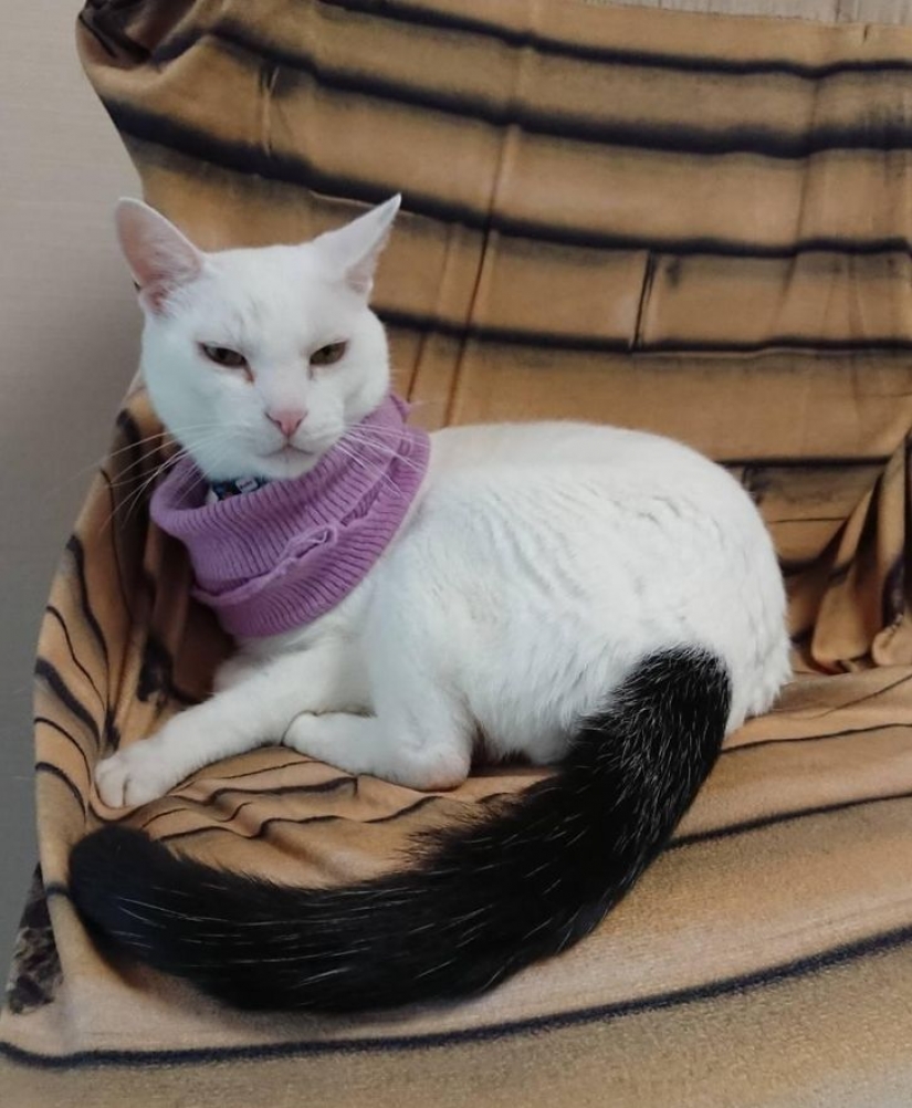 10 fotos que muestran que la vida es como un cuento de hadas