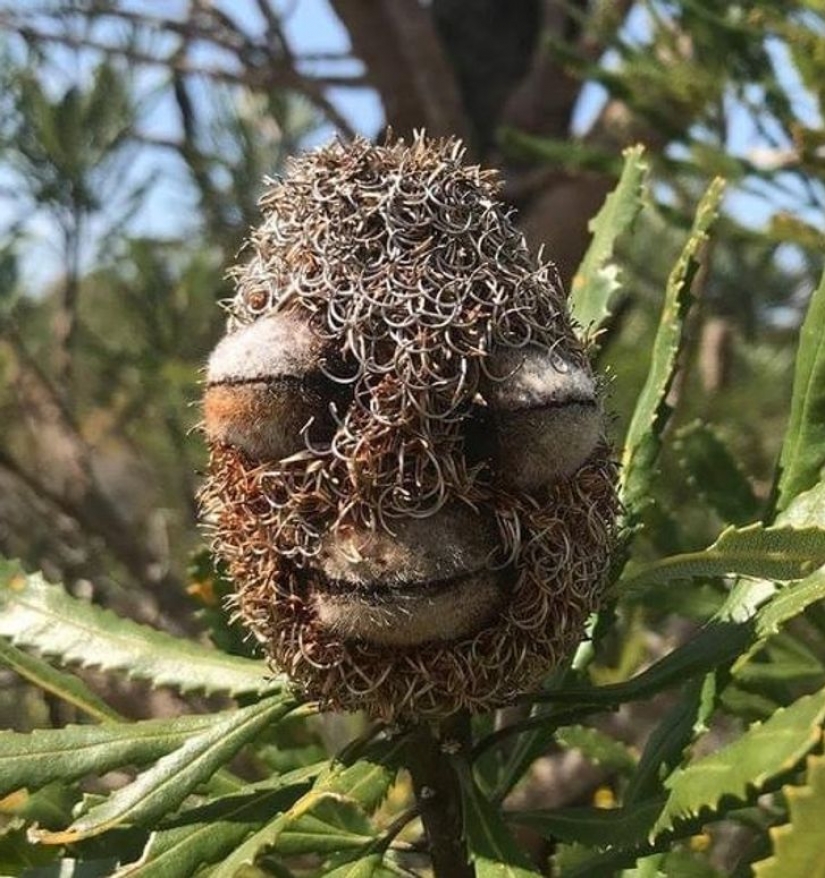 10 fotos que muestran que la vida es como un cuento de hadas