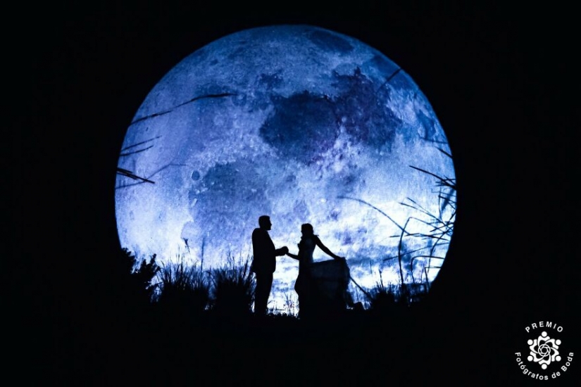 10 heartwarming wedding moments selected by the FdB Awards