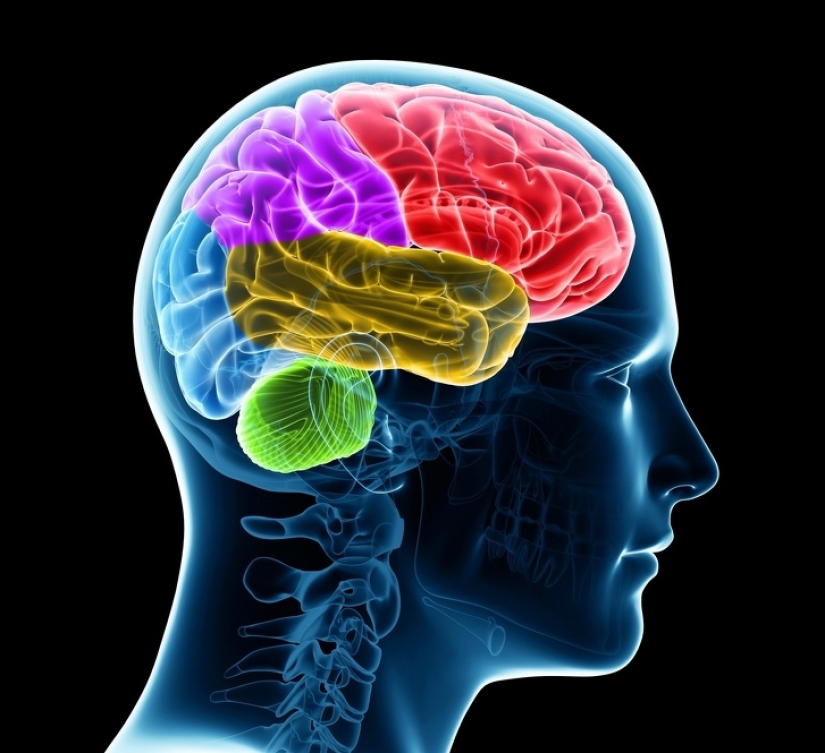 10 hechos corporales sorprendentes que pueden ayudarlo a concentrarse en su salud 10 hechos corporales sorprendentes que pueden ayudarlo a concentrarse en su salud