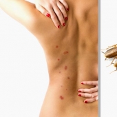 10 hechos sobre los aspectos más inesperados del mundo