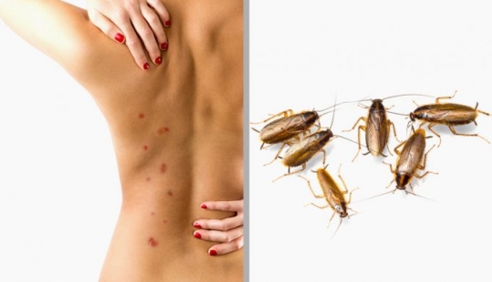 10 hechos sobre los aspectos más inesperados del mundo 10 hechos sobre los aspectos más inesperados del mundo