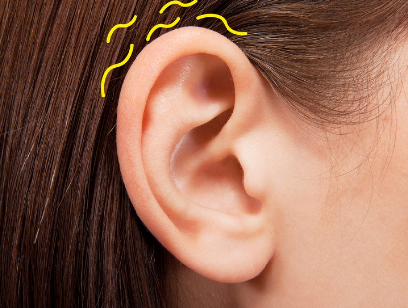 10 hechos sobre los aspectos más inesperados del mundo