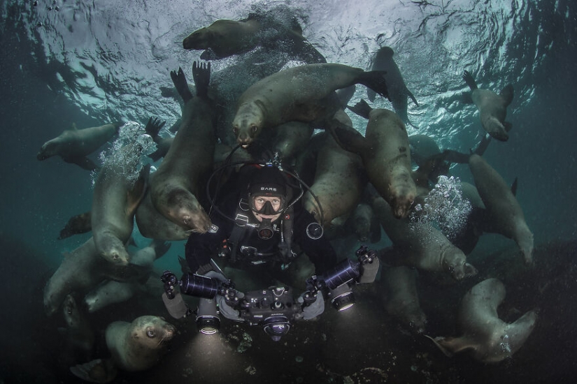10 increíbles imágenes submarinas de los finalistas de los Ocean Photography Awards 2021 10 increíbles imágenes submarinas de los finalistas de los Ocean Photography Awards 2021