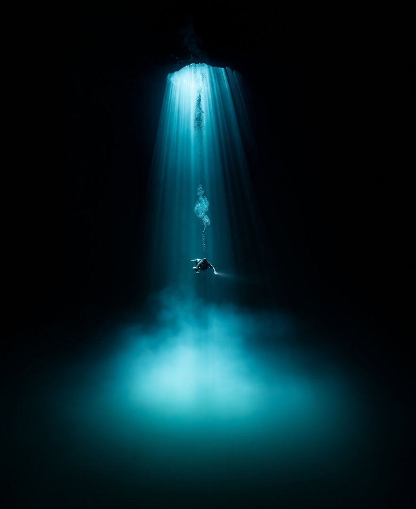10 increíbles imágenes submarinas de los finalistas de los Ocean Photography Awards 2021 10 increíbles imágenes submarinas de los finalistas de los Ocean Photography Awards 2021
