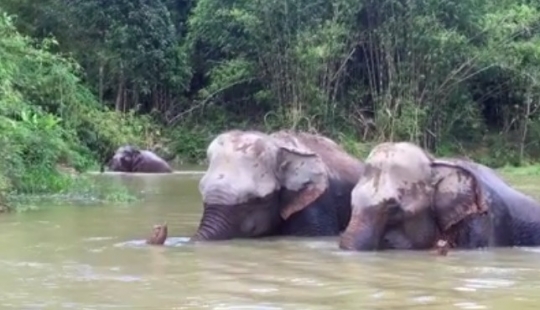 10 lugares increíbles donde la gente vive junto a animales exóticos 10 lugares increíbles donde la gente vive junto a animales exóticos