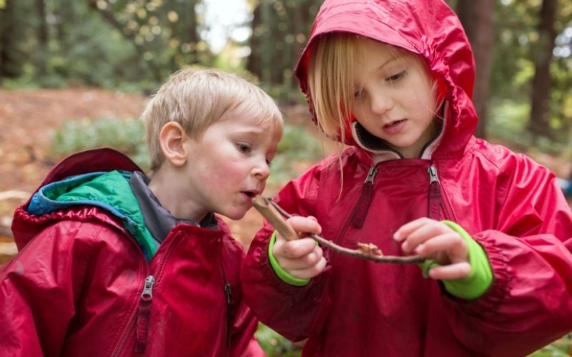 10 most unusual school subjects in different countries of the world 10 most unusual school subjects in different countries of the world