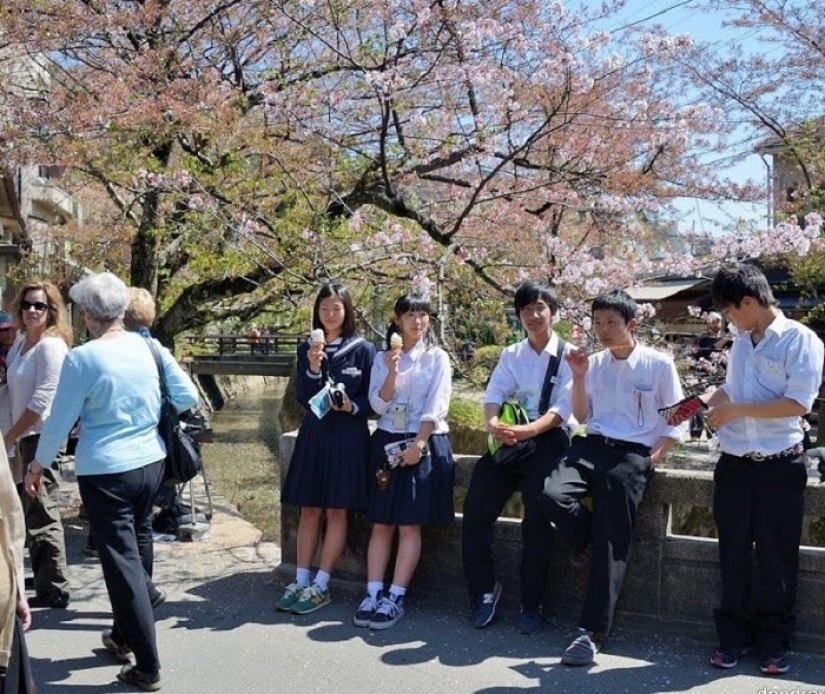 10 most unusual school subjects in different countries of the world 10 most unusual school subjects in different countries of the world