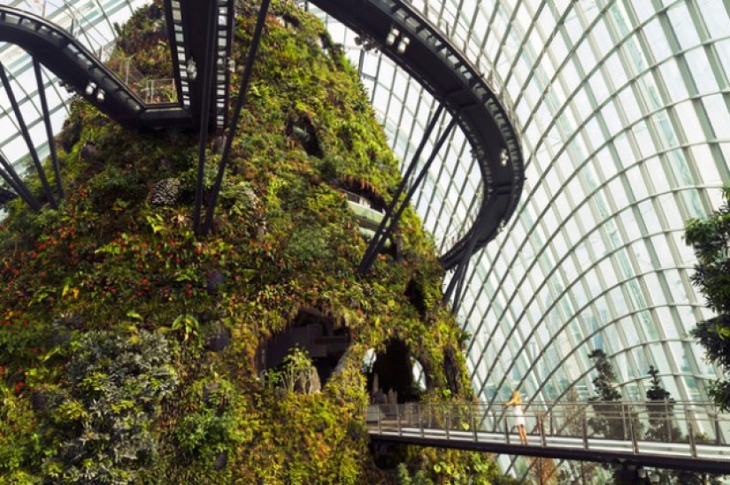 10 países con Internet más rápido 10 países con Internet más rápido