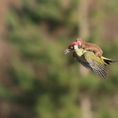 10 personas felices que vieron algo realmente asombroso