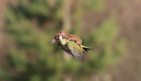 10 personas felices que vieron algo realmente asombroso 10 personas felices que vieron algo realmente asombroso