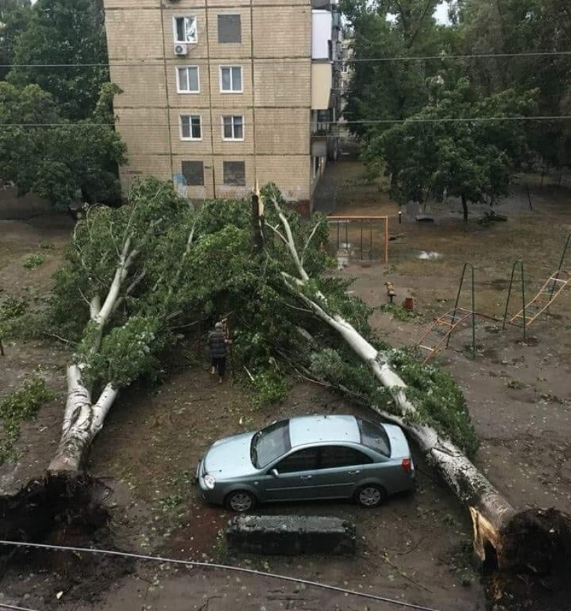 10 personas felices que vieron algo realmente asombroso 10 personas felices que vieron algo realmente asombroso