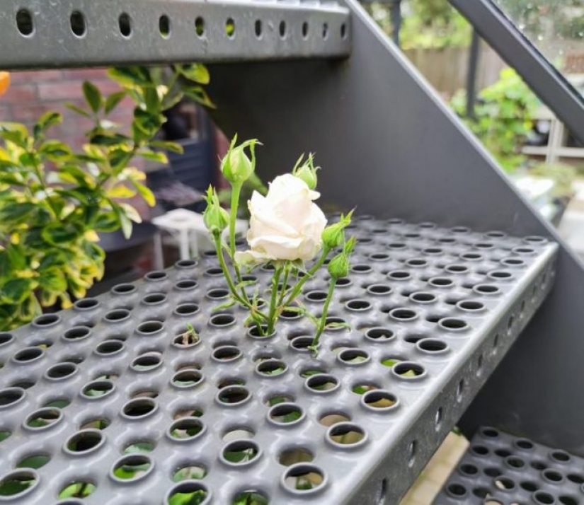 10 photos showing that life is like a fairy tale