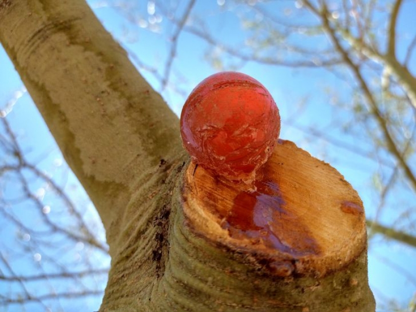 10 photos showing that life is like a fairy tale