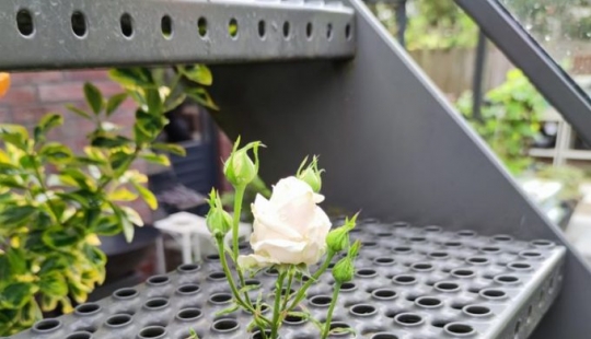 10 photos showing that life is like a fairy tale