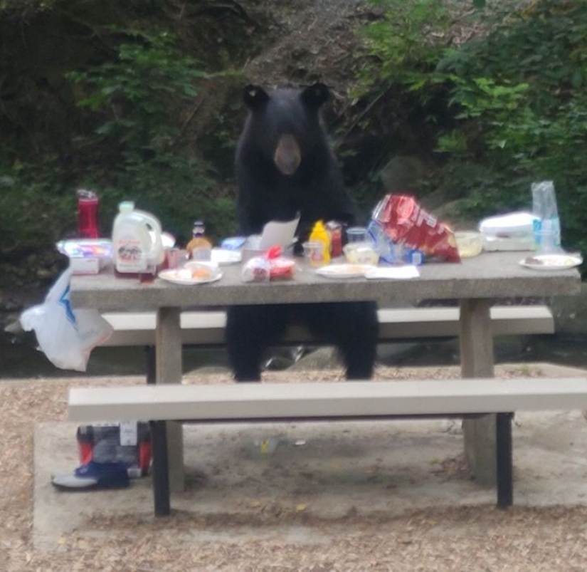 10 photos showing that life is like a fairy tale