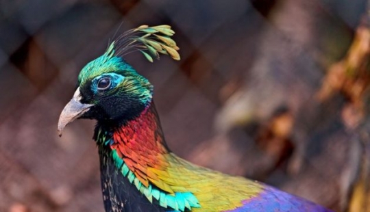 10 photos showing what is more amazing in nature than we can imagine 10 photos showing what is more amazing in nature than we can imagine