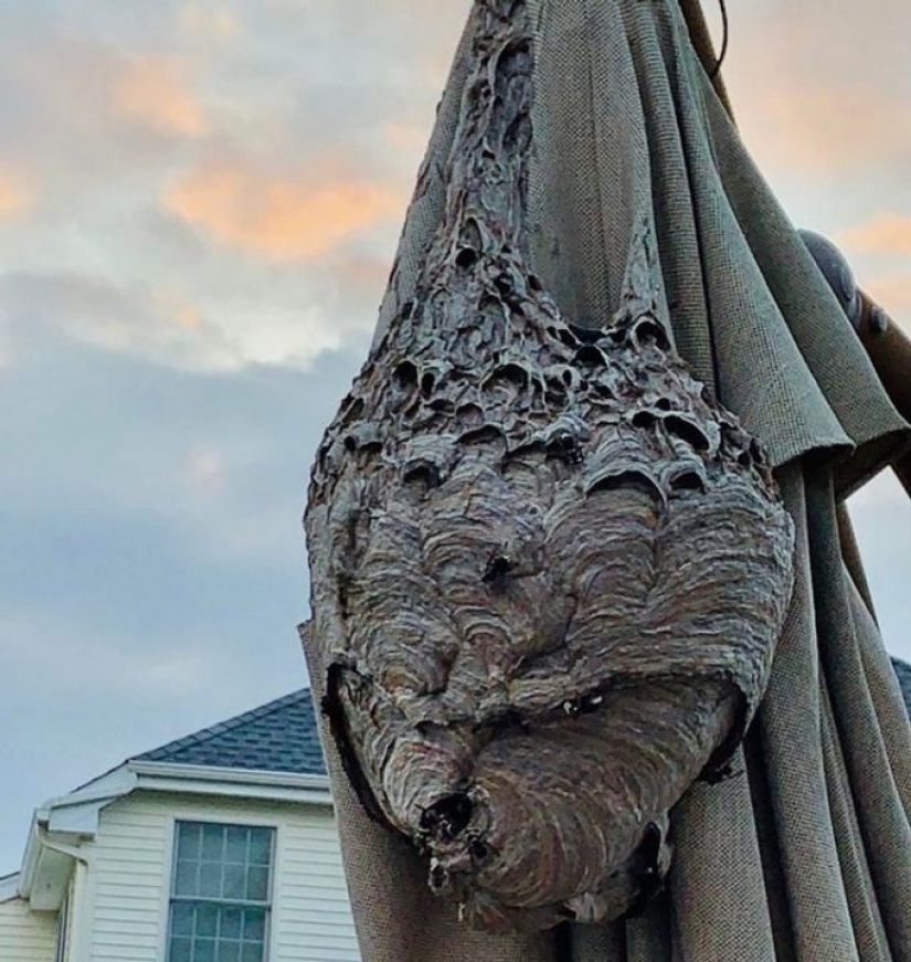 10 photos showing what is more amazing in nature than we can imagine