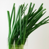 10 plants you can grow in a glass of water