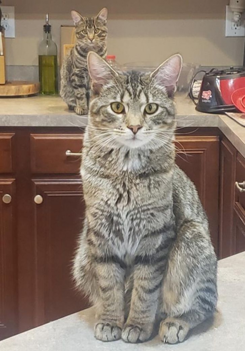 10 random matches 10 random matches