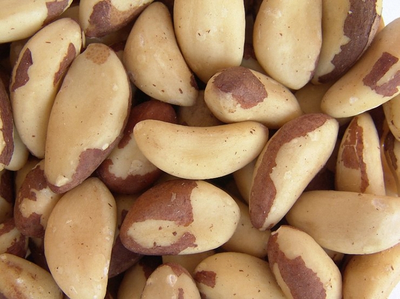 10 razones por las que deberías comer nueces 10 razones por las que deberías comer nueces