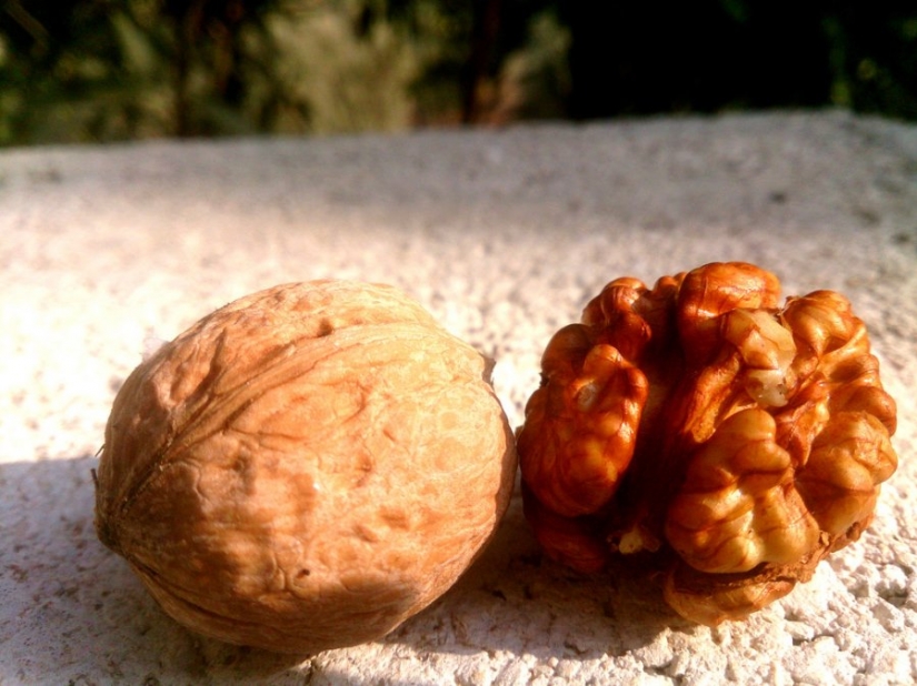 10 reasons why you should eat nuts 10 reasons why you should eat nuts