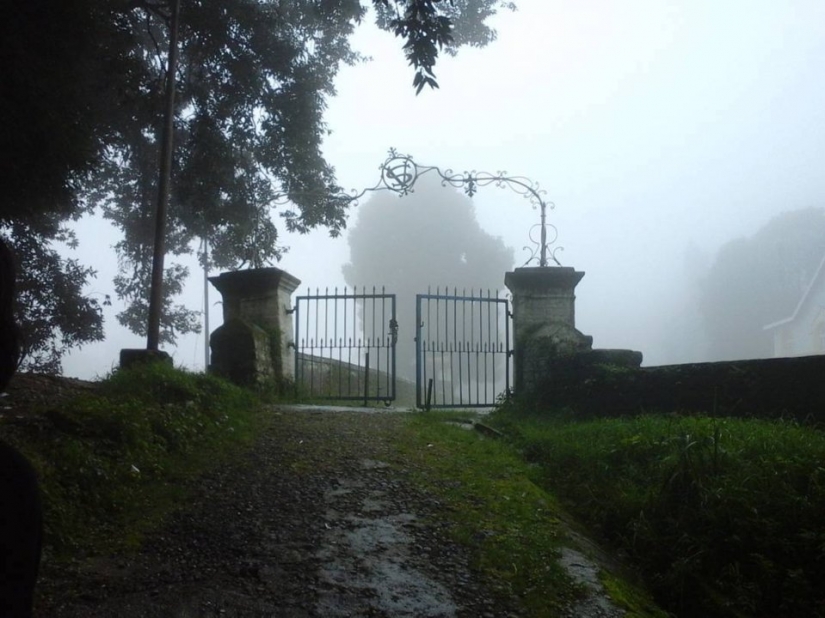 10 scariest forests around the world 10 scariest forests around the world