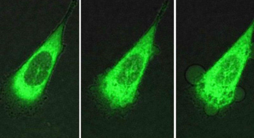 10 scientific discoveries that sound like fiction