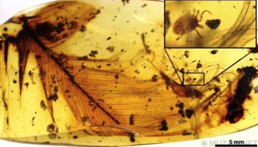 10 scientific discoveries that sound like fiction