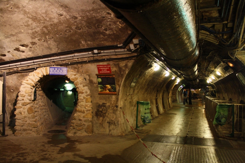 10 strangest museums in the world