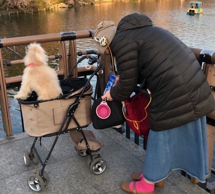 10 stunning photos from Japan that locals won't even notice