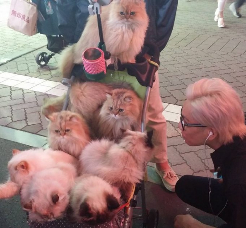 10 stunning photos from Japan that locals won't even notice