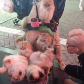 10 stunning photos from Japan that locals won't even notice