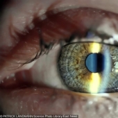 10 Surprising Body Facts That Can Help You Focus On Your Health