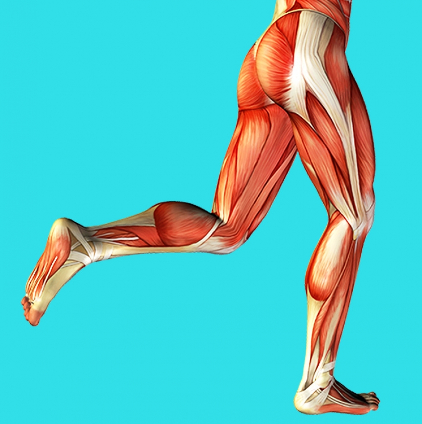 10 Surprising Body Facts That Can Help You Focus On Your Health 10 Surprising Body Facts That Can Help You Focus On Your Health