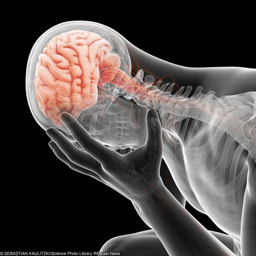 10 Surprising Body Facts That Can Help You Focus On Your Health 10 Surprising Body Facts That Can Help You Focus On Your Health