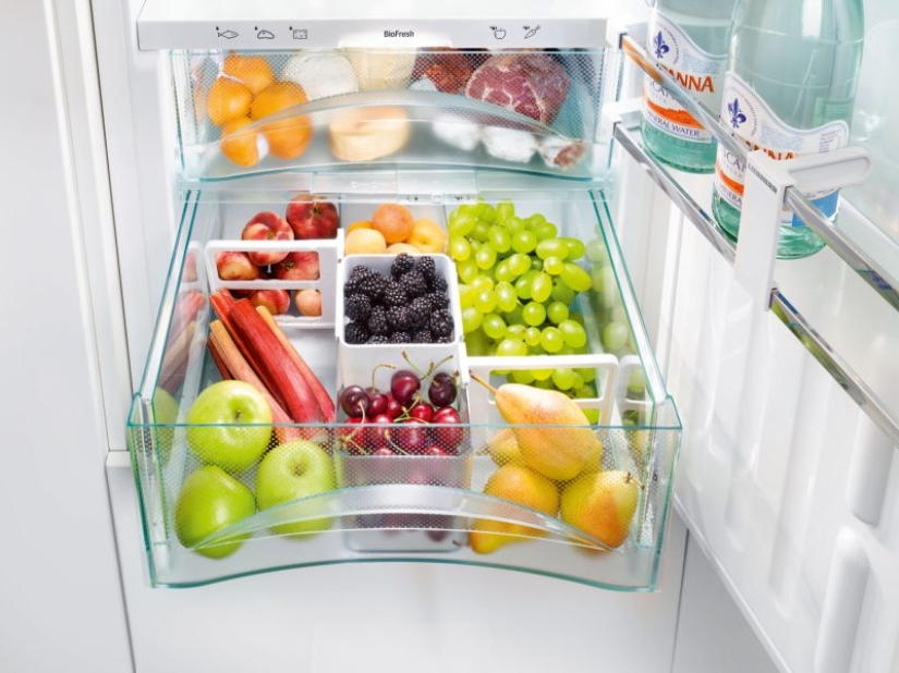 10 things you can use to make your refrigerator perfect