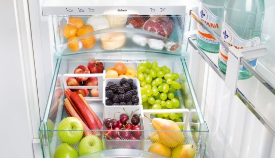 10 things you can use to make your refrigerator perfect