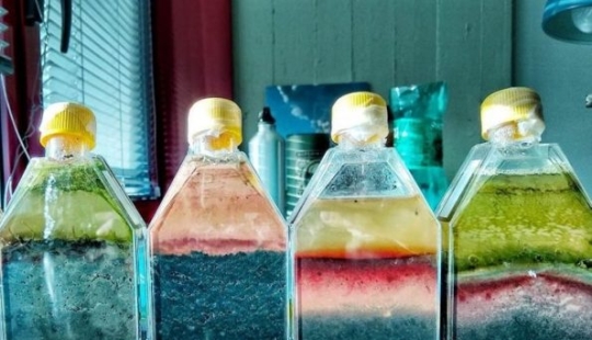 10 times people were inspired by life in everyday things and turned them into art