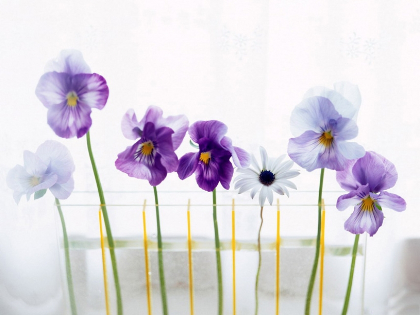 10 unusual ways to use sugar 10 unusual ways to use sugar