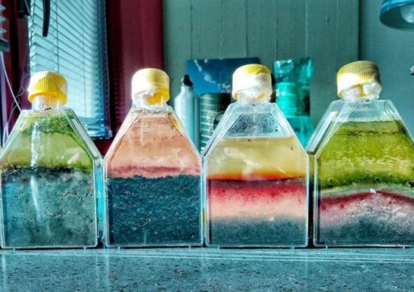 10 veces que las personas se inspiraron en la vida en las cosas cotidianas y las convirtieron en arte 10 veces que las personas se inspiraron en la vida en las cosas cotidianas y las convirtieron en arte