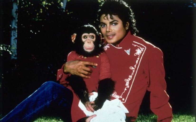 10 weird celebrity animals