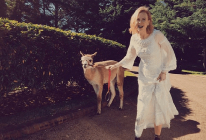 10 weird celebrity animals