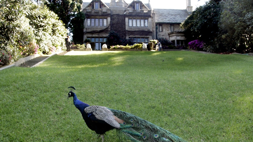 10 weird celebrity animals